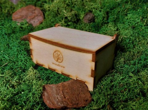 Naszyjnik z Dębu i błękitnej żywicy z Etui