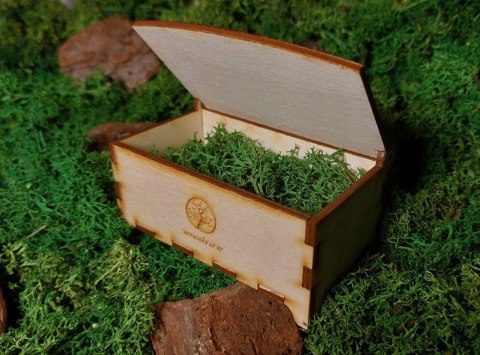 Naszyjnik z Dębu i błękitnej żywicy z Etui