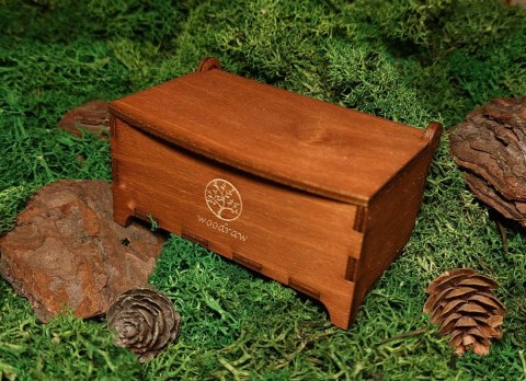 Naszyjnik z Dębu i błękitnej żywicy z Etui