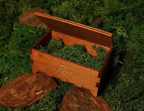 Naszyjnik z Dębu i błękitnej żywicy z Etui